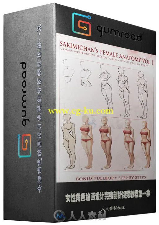 女性角色绘画设计完整剖析视频教程第一季 Gumroad Female Anatomy Vol 1 by sakimi...的图片1