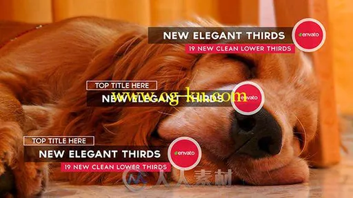 新颖横栏展示动画AE模板 Videohive New Elegant Thirds 11699151的图片1