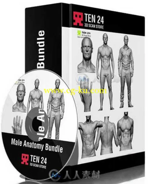 完美男性身体细节3D模型 3D Scan Store Male Anatomy Bundle的图片1