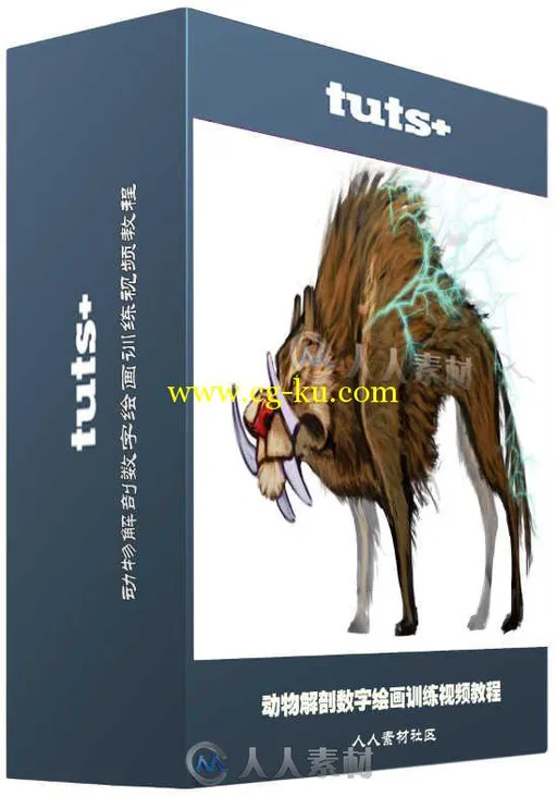 动物解剖数字绘画训练视频教程 Tuts+ Premium Mastering Animal Anatomy in Digita...的图片1