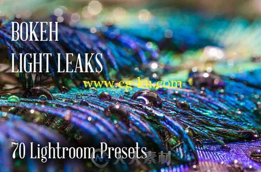 70组散景氛围光Lightroom预设 Creativemarket 70 Bokeh Light Leaks Lr Presets 35...的图片1