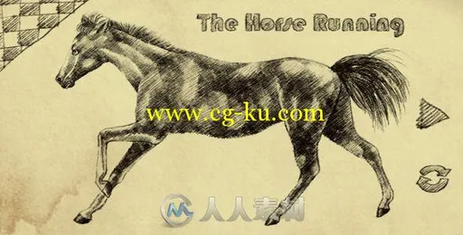 素描风格奔腾野马视频素材 Videohive The Horse Running 1825944 Motion Graphics的图片1