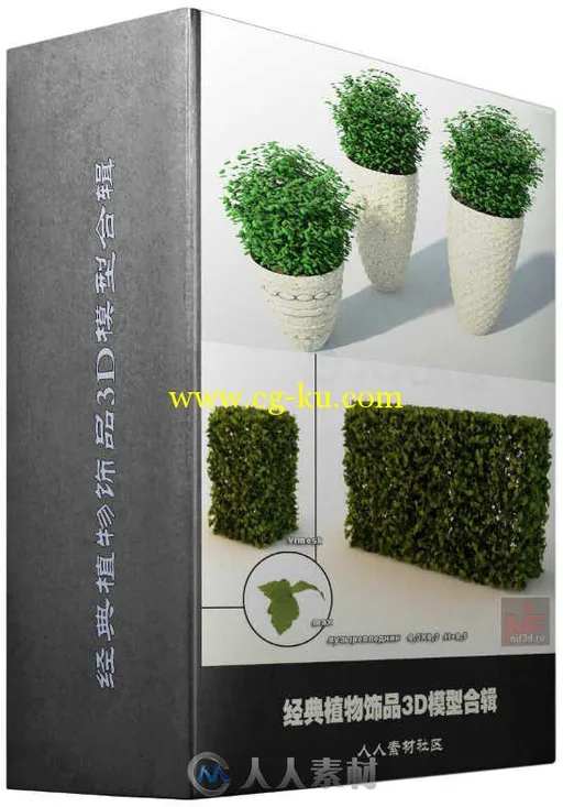 经典植物饰品3D模型合辑 Classic Plant的图片1