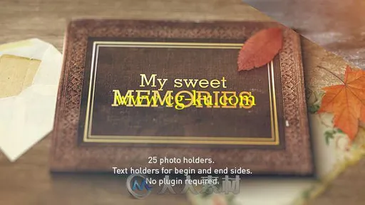 怀旧美妙生活相册动画AE模板 Videohive Old Memories Album Gallery 9788145的图片1