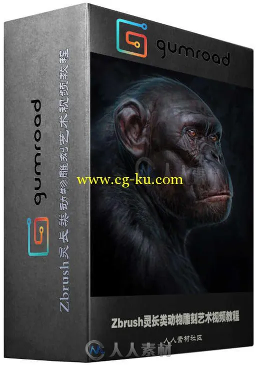 Zbrush灵长类动物雕刻艺术视频教程 Gumroad Ben Mauro Primate Anatomy Full的图片1