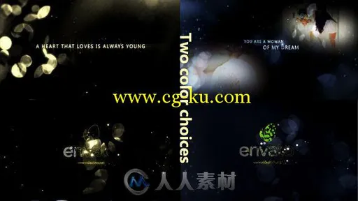 金灿光辉相册动画AE模板 Videohive Gold Particle and Memories Typography 6697418的图片1