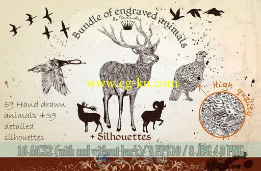 动物高清与矢量图形合辑 Creativemarket Bundle From Vector Engraved Animals 486410的图片1