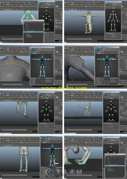 Maya中IK骨骼控制技术视频教程 3DMotive Intro to Human IK in Maya的图片1