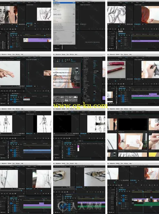 Premiere视频编辑基础核心训练视频教程 Pluralsight Premiere Pro CC Fundamentals的图片1