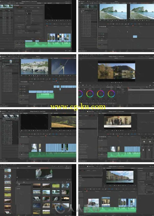 DaVinci Resolve 12达芬奇视频编辑速成班视频教程 Gumroad Crash Course Editing i...的图片1