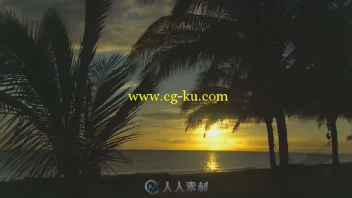 夕阳海岸椰树高清实拍视频素材的图片1