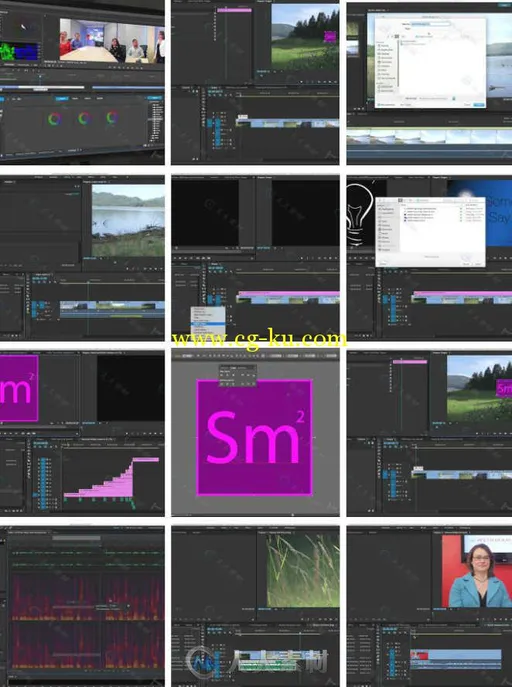 Premiere与Adobe创意云系列软件工作协作视频教程 Pluralsight Premiere Pro Workfl...的图片1