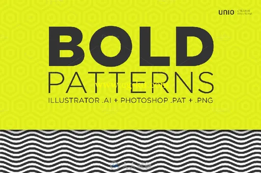 黑白花纹PS图案Bold Patterns的图片1