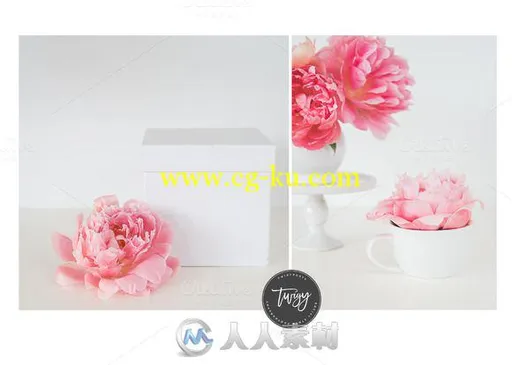 花艺衬饰相框场景PSD模板Stock-PhotoFrame-Mockup-5-Images的图片1