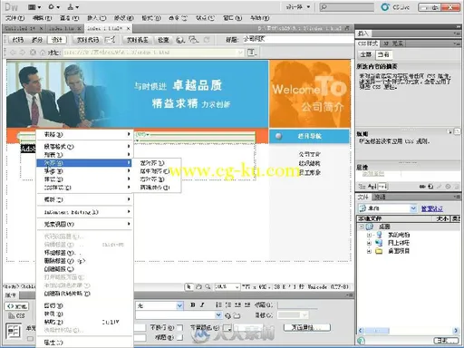 中文版Dreamweaver CS5+Flash CS5+Photoshop CS5从新手到高手的图片5