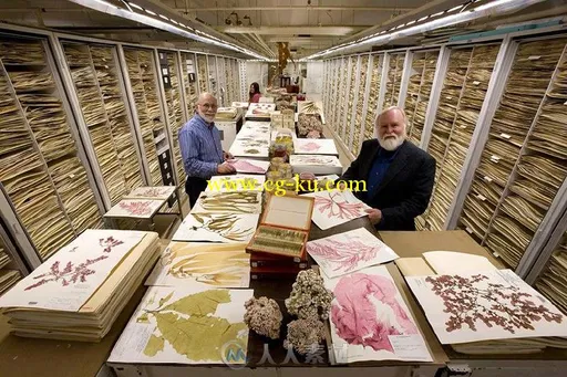 storage at the smithsonian natural history museum-标本的世界的图片2