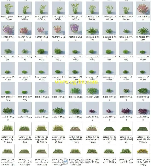 226组高精度草木植物C4D用3D模型合辑 VRAYFORC4D HQ GRASS VOL.1 FOR CINEMA4D的图片2