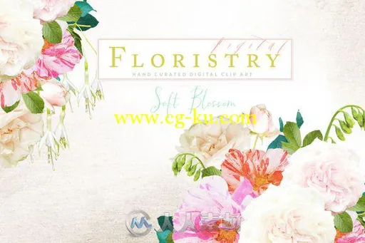 数码花艺平面素材合辑Digital Floristry - Soft Blossom的图片1