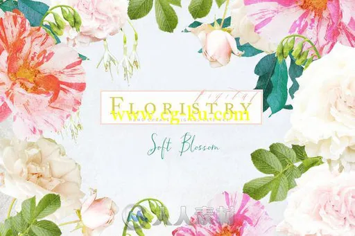 数码花艺平面素材合辑Digital Floristry - Soft Blossom的图片3