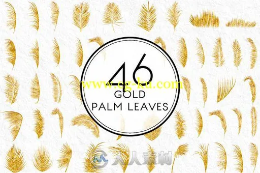 46款金色棕榈叶平面素材合辑Gold Palm Leaves的图片1