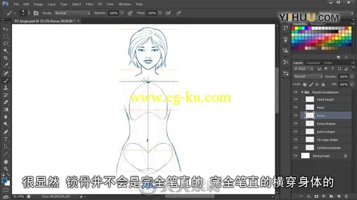 Photoshop绘画女性身体比例和表面解剖学-DT出品-（中文字幕）的图片1