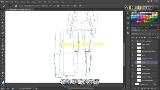 Photoshop绘画女性身体比例和表面解剖学-DT出品-（中文字幕）的图片3