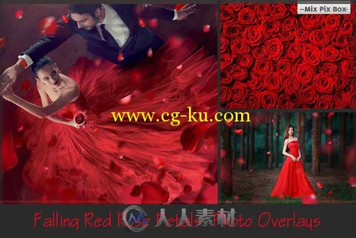 坠落的玫瑰花瓣照片修饰平面素材合辑Falling Rose Petals Photo Overlays的图片1