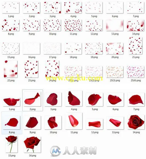 坠落的玫瑰花瓣照片修饰平面素材合辑Falling Rose Petals Photo Overlays的图片2