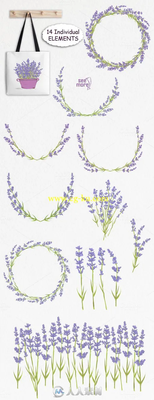 春季薰衣草花平面素材合集Lavender. Spring Flowers collection的图片1