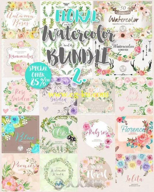 17款水彩风格花和植物平面素材合辑第二辑Big Watercolor floral Bundle 2的图片1