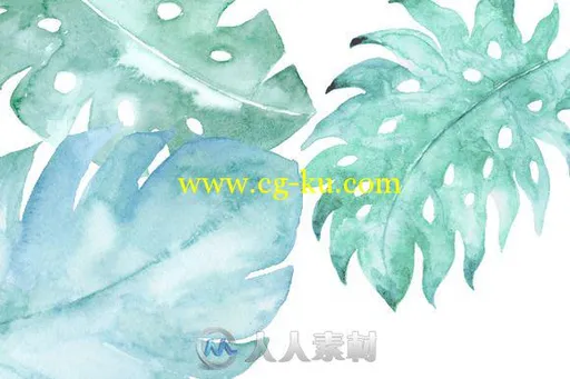 碧绿植物水彩剪贴画平面素材合辑Watercolor-Clipart-Jade-Green的图片3