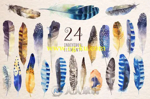 水彩画羽毛平面素材合辑Watercolor feathers Bundle的图片1