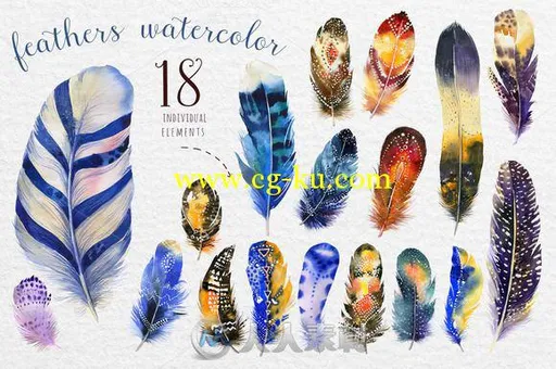 水彩画羽毛平面素材合辑Watercolor feathers Bundle的图片2