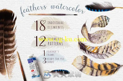 水彩画羽毛平面素材合辑Watercolor feathers Bundle的图片3