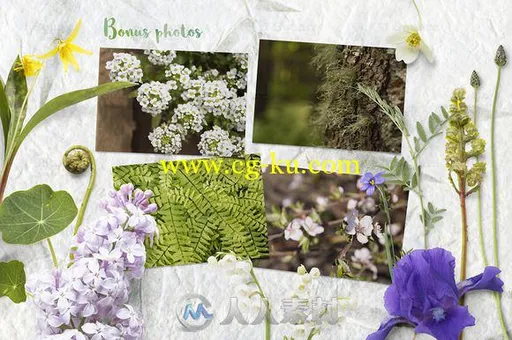 春季花和道具场景展示PSD模板Spring Flower Props &Mockups的图片1