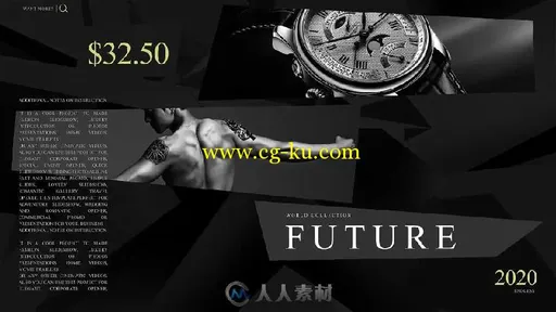 白金时尚企业服务产品促销宣传AE模板 Platinum Fashion Promo的图片3