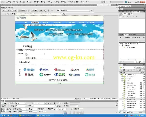 Dreamweaver CS5+ASP动态网站开发与典型实例的图片4