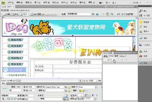 Dreamweaver CS5中文版标准实例教程的图片4