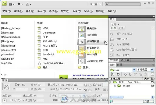 中文版Dreamweaver CS4实例与操作的图片6