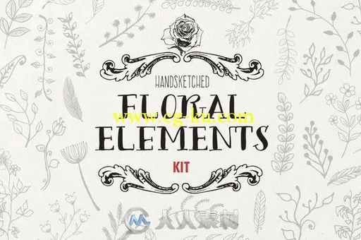 花卉元素平面展示PSD模板Handsketched Floral Elements Kit的图片3