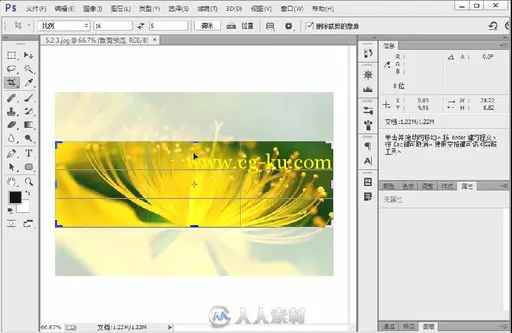 中文版Photoshop CC完全自学手册的图片3