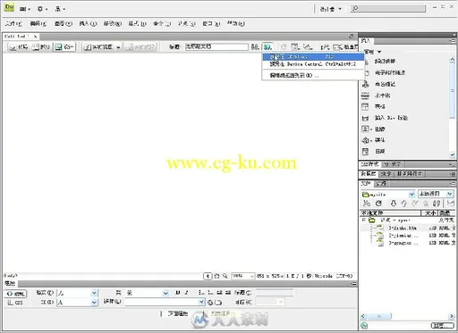 从零开始 Dreamweaver CS4中文版基础培训教程的图片7