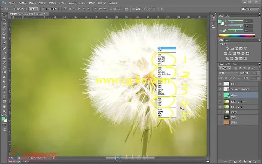 Photoshop & Illustrator平面设计火星课堂的图片1