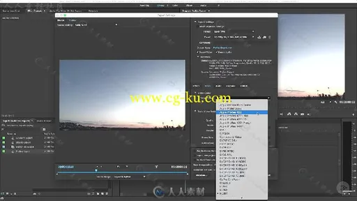 Premiere与MediaEncoder视频编码器压缩输出技术视频教程 Pluralsight Mastering Co...的图片1