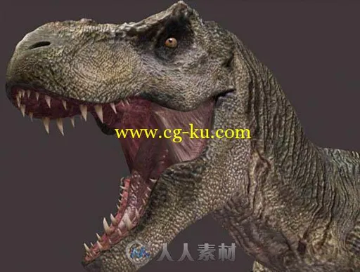 34个恐龙3D模型的图片1