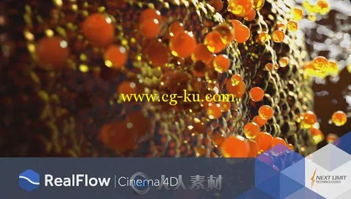 RealFlow流体动力学模拟C4D插件V1.0.1.0095版 Nextlimit Realflow Cinema 4D v1.0....的图片1