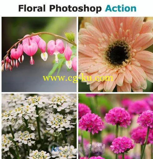鲜花照片调色PS动作Floral_Action的图片1