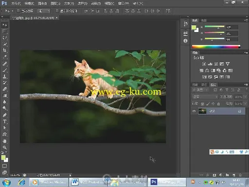 中文版PhotoshopCS6图像处理与设计的图片6