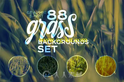 88款草丛高清图片88 HD Grass Backgrounds Pack的图片2