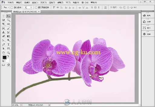 Photoshop CS6这样学更简单的图片1